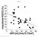 Fig. 07 - Amelioration of chronic kidney disease