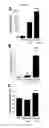Fig. 08 - Amelioration of chronic kidney disease