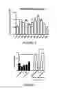 Fig. 07 - THERAPEUTIC USE OF BONE MORPHOGENETIC PROTEINS