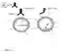 Fig. 02 - STEM CELL ENHANCING THERAPEUTICS