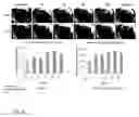 Fig. 09 - STEM CELL ENHANCING THERAPEUTICS
