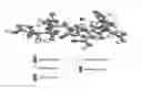 Fig. 02 - Process to obtain random terpolymers derived from itaconic acid, aconitic acid and/or its isomers, and alkenyl sulfonates and use of the product thereof
