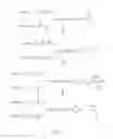 Fig. 07 - Polymeric alpha-hydroxy aldehyde and ketone reagents and conjugation method