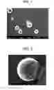 Fig. 02 - Porous resin particle and method for producing the same, and structure