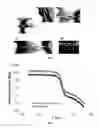 Fig. 02 - Composition comprising poly-lactide-based polymer