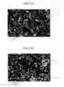 Fig. 02 - Vulcanized rubber composition and tire using same