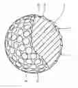 Fig. 01 - Golf ball