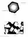 Fig. 02 - Composite abrasive with hard core and soft shell, manufacturing method and application method