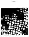 Fig. 08 - Quantum dots, production methods thereof, and electronic devices including the same