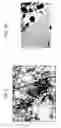 Fig. 07 - Method for removing sulfur compounds from a hydrocarbon fluid using an adsorbent