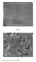 Fig. 08 - Self-healable coatings and methods of making the same