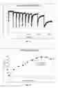 Fig. 06 - Intercalated bleach compositions, related methods of manufacture and use