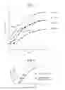 Fig. 04 - Acceleration of growth