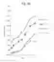 Fig. 06 - Acceleration of growth