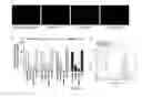 Fig. 09 - Methods and compositions for targeting progenitor cell lines