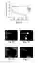 Fig. 02 - Methods and compositions for increased safety of stem cell-derived populations