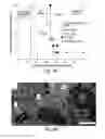 Fig. 06 - Methods and compositions for increased safety of stem cell-derived populations