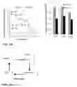 Fig. 40 - METHODS AND COMPOSITIONS TO STABILIZE DIFFERENT STEM CELL STATES