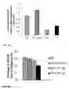 Fig. 47 - METHODS AND COMPOSITIONS TO STABILIZE DIFFERENT STEM CELL STATES