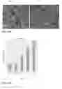 Fig. 63 - METHODS AND COMPOSITIONS TO STABILIZE DIFFERENT STEM CELL STATES