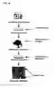 Fig. 06 - MEGAKARYOCYTE AND PLATELET PRODUCTION FROM STEM CELLS