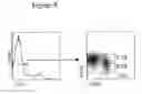 Fig. 09 - Human progenitor T-cells into NK cells