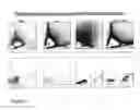 Fig. 12 - Human progenitor T-cells into NK cells