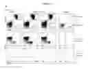 Fig. 24 - Human progenitor T-cells into NK cells