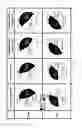 Fig. 09 - MESENCHYMAL STEM CELL-DERIVED EXOSOMES AND THEIR USES