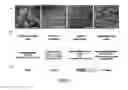 Fig. 02 - Methods for producing hepatocytes