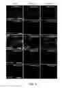 Fig. 05 - Methods for producing hepatocytes