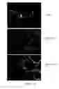 Fig. 14 - Methods for producing hepatocytes