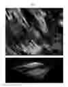 Fig. 06 - METHODS OF CELLULAR REPROGRAMMING