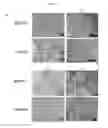 Fig. 07 - METHODS OF CELLULAR REPROGRAMMING