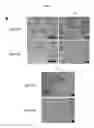 Fig. 08 - METHODS OF CELLULAR REPROGRAMMING