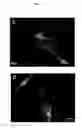 Fig. 17 - METHODS OF CELLULAR REPROGRAMMING