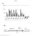 Fig. 28 - METHODS OF CELLULAR REPROGRAMMING