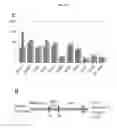 Fig. 30 - METHODS OF CELLULAR REPROGRAMMING