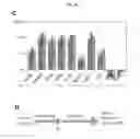 Fig. 32 - METHODS OF CELLULAR REPROGRAMMING