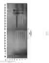 Fig. 32 - Methods of host cell modification