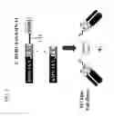 Fig. 04 - Methods for Generating Stably Linked Complexes Composed of Homodimers, Homotetramers or Dimers of Dimers and Uses