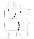 Fig. 08 - Methods for Generating Stably Linked Complexes Composed of Homodimers, Homotetramers or Dimers of Dimers and Uses