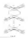 Fig. 22 - Methods for Generating Stably Linked Complexes Composed of Homodimers, Homotetramers or Dimers of Dimers and Uses