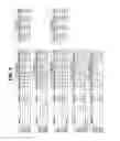 Fig. 17 - Isolation and detection of DNA from plasma