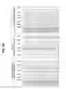 Fig. 26 - Isolation and detection of DNA from plasma