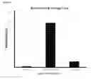 Fig. 06 - TARGETED ALTERATION OF DNA WITH OLIGONUCLEOTIDES
