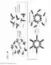 Fig. 02 - Multifunctional RNA nanoparticles and methods of use