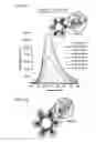 Fig. 04 - Multifunctional RNA nanoparticles and methods of use