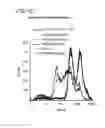 Fig. 14 - Multifunctional RNA nanoparticles and methods of use