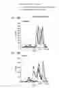 Fig. 26 - Multifunctional RNA nanoparticles and methods of use